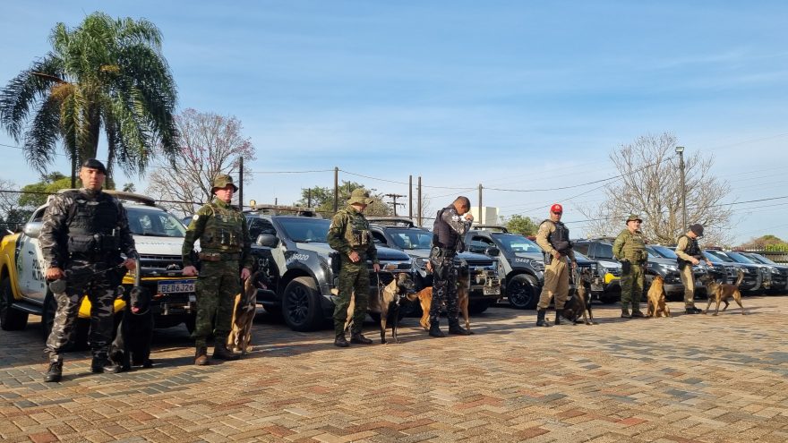Cães farejadores disputam campeonato de detecção de drogas em Cascavel