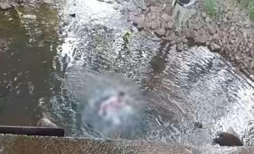 Internautas registram Peladão do Ecopark Sul dentro de córrego