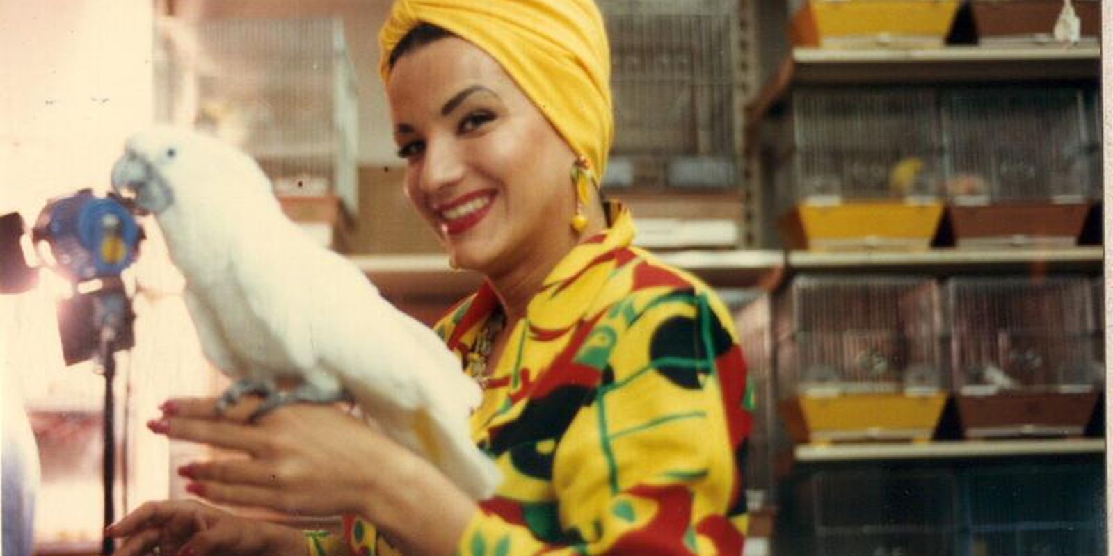 Hoje é Dia: Carmen Miranda e Hans Christian Andersen são destaques Hoje é Dia: Carmen Miranda e Hans Christian Andersen são destaques