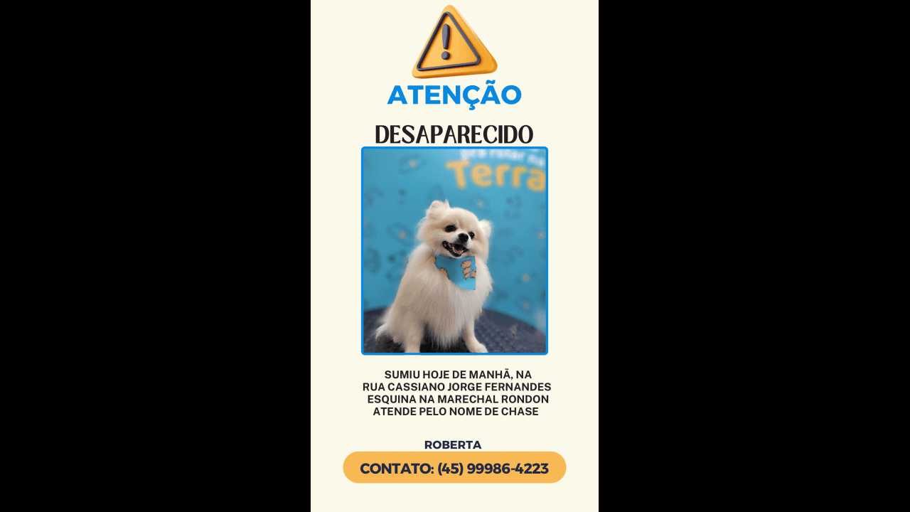 Cachorro Chase desapareceu no bairro Neva