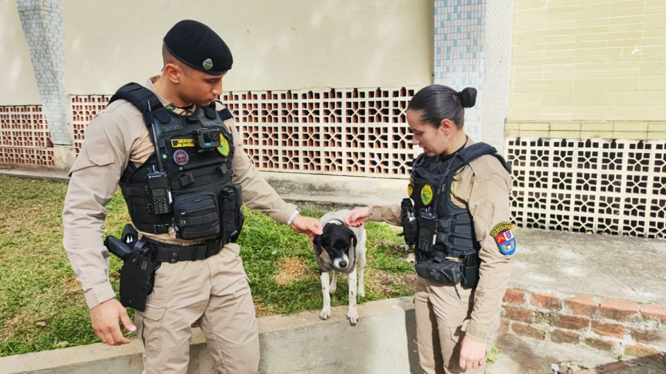 Cachorro é abandonado com placa de ‘adote’ e comove policiais militares