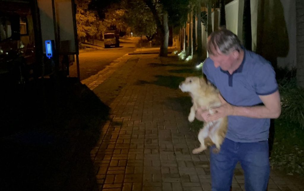 Resgate emocionante! Cachorro cai em buraco e bombeiros retiram “Nininho” após intenso trabalho
