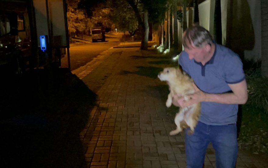 Resgate emocionante! Cachorro cai em buraco e bombeiros retiram “Nininho” após intenso trabalho