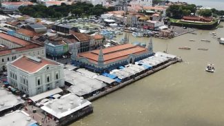 Caminhos da Reportagem mostra como a COP30 mobiliza negócios