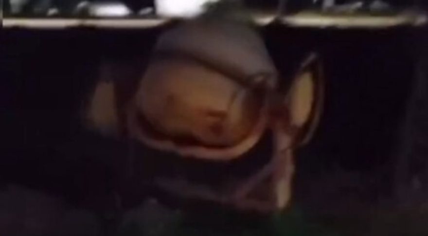 Betoneira liga sozinha e intriga moradores do Paraná