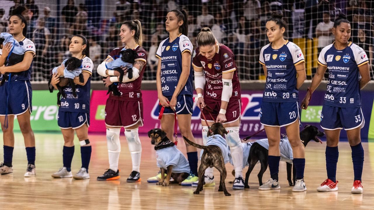 Stein Cascavel brilha dentro e fora das quadras: goleada sobre Taboão Magnus e campanha de adoção Stein Cascavel brilha dentro e fora das quadras: goleada sobre Taboão Magnus e campanha de adoção