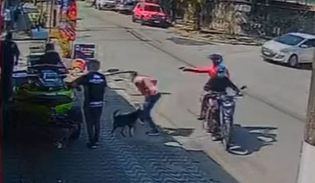 Cão enfrenta assaltantes e impede roubo; arma de criminoso falha durante assalto