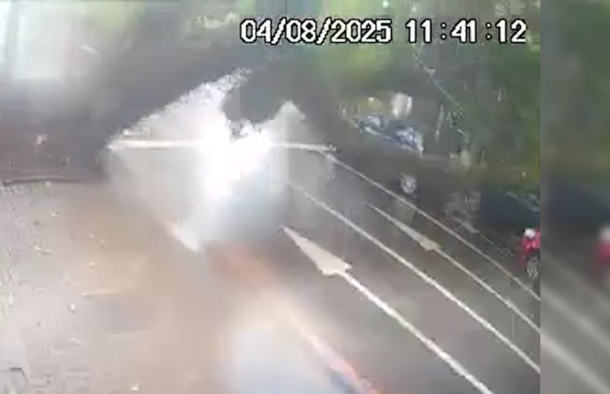 Vídeo mostra momento em que árvore de grande porte cai em veículos na Rua Minas Gerais