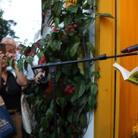 Flip: 34 mil pessoas estiveram na festa que homenageou Leminski Imagem referente a Flip: 34 mil pessoas estiveram na festa que homenageou Leminski