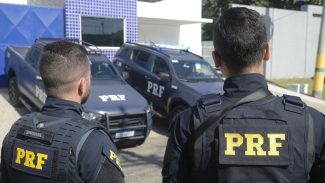 PRF apreende fuzis que estavam sendo levados do Rio para Porto Seguro
