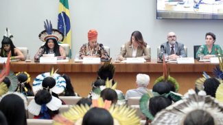 Brasil monitora direitos de indígenas e mulheres em metas da COP30
