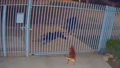Imagem referente a Vídeo mostra criminoso furtando celular de homem que passou mal e morreu na calçada