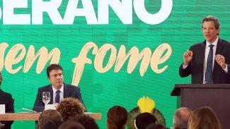 Haddad diz que tarifaço afetará 4% das exportações aos EUA