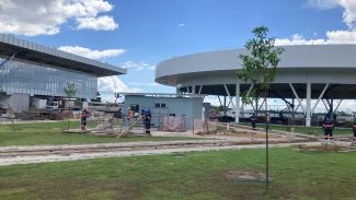 Faltam três meses para a COP30; confira calendário e desafios