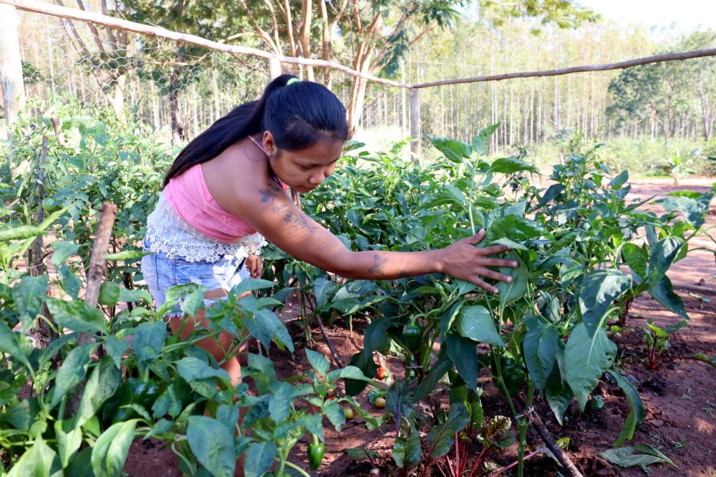 Comunidades Avá-guarani são assentadas em área comprada com recursos da Itaipu
