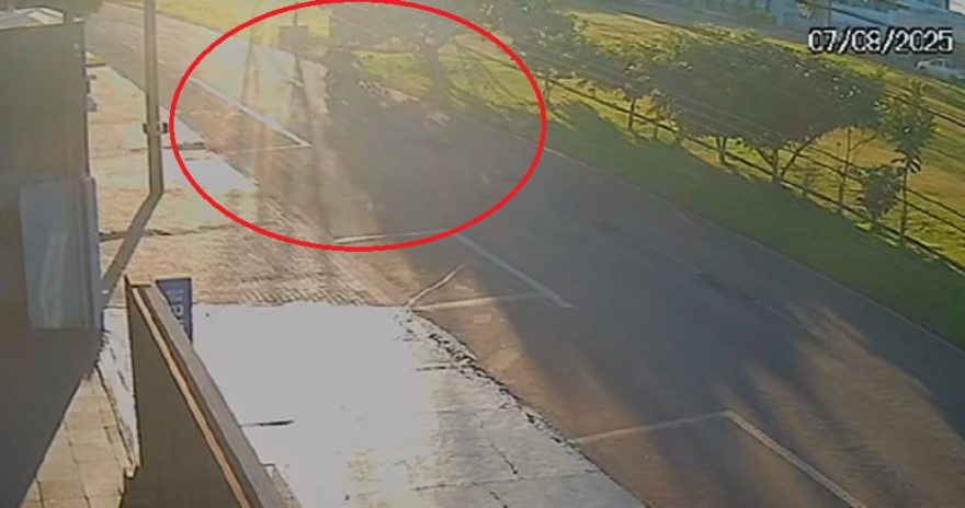 Câmera registra momento em que homens sofrem queda de motocicleta no Parque Verde