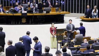 Câmara aprova bônus para servidor do INSS por revisão de benefícios