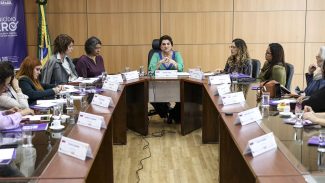 Ligue 180 recebe 86 mil denúncias de violência contra mulher até julho