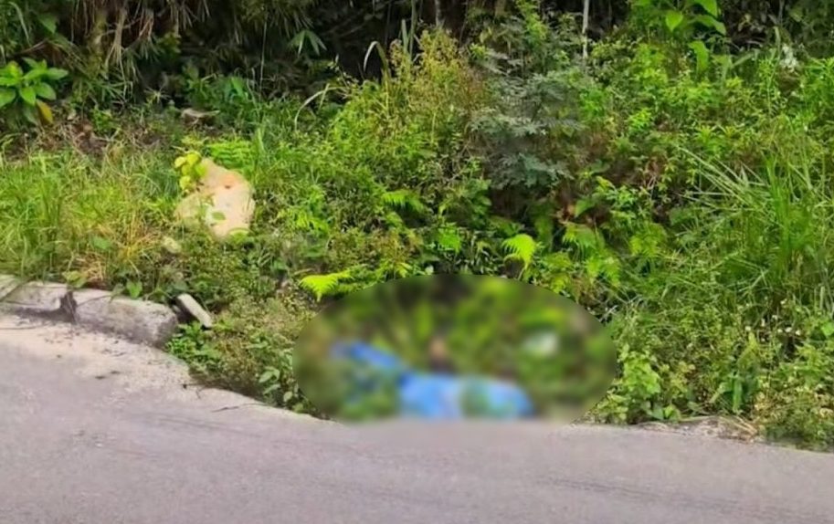 Corpo é encontrado enrolado em saco embaixo de sofá às margens da BR-277