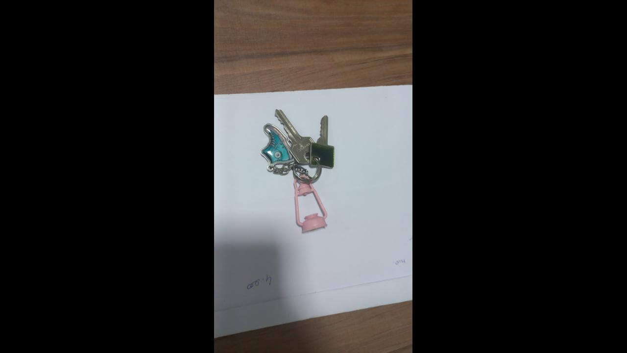 Foi encontrada uma chave no bairro Região do Lago