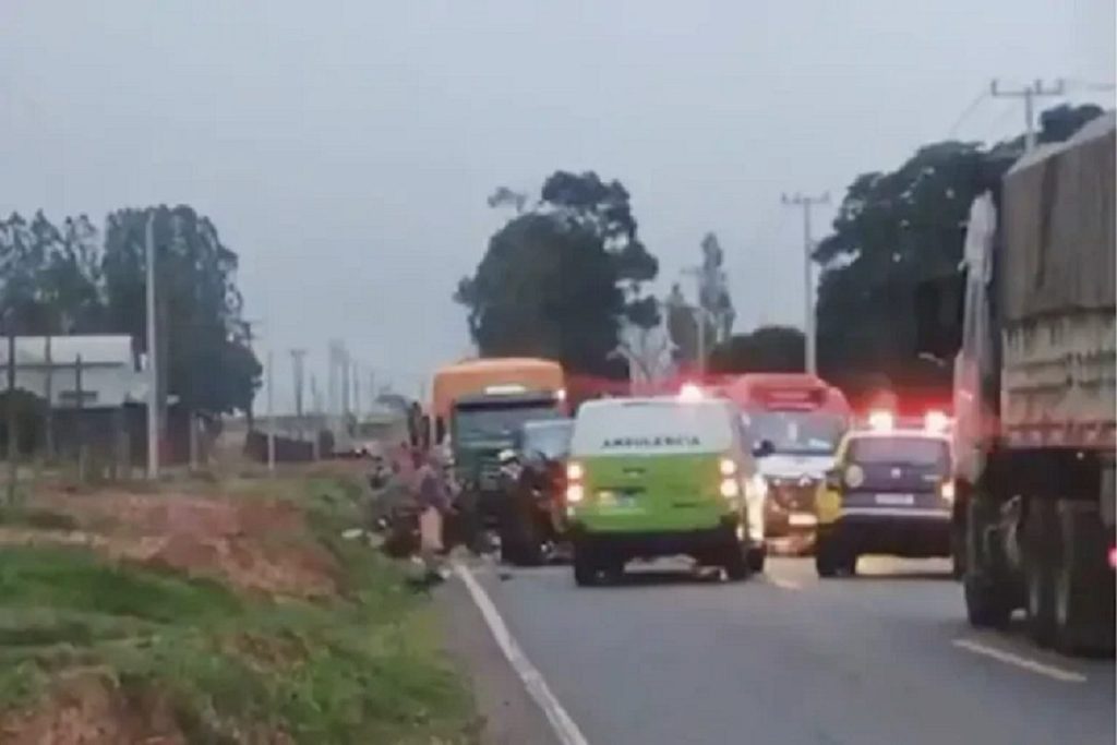 Idoso de 67 anos e cavalo morrem após colisão com Hilux