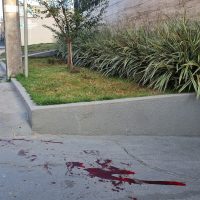Imagem referente a Madrugada marcada por violência em Cascavel: Faca utilizada em homicídio quebrou durante o crime