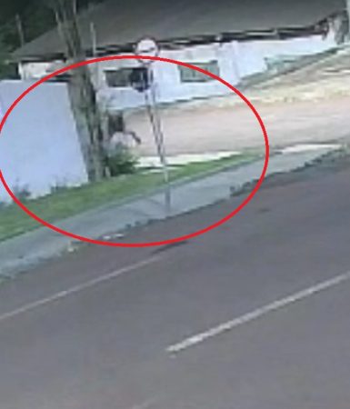 Imagem referente a Câmeras registram brutalidade durante homicídio na Vila Tolentino