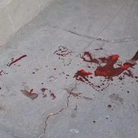 Imagem referente a Homem morto a facadas na Vila Tolentino é identificado