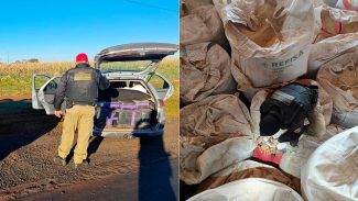 297 Kg de maconha: BPRv dá detalhes de prisão de motorista que foi encontrado escondido entre bags de sementes