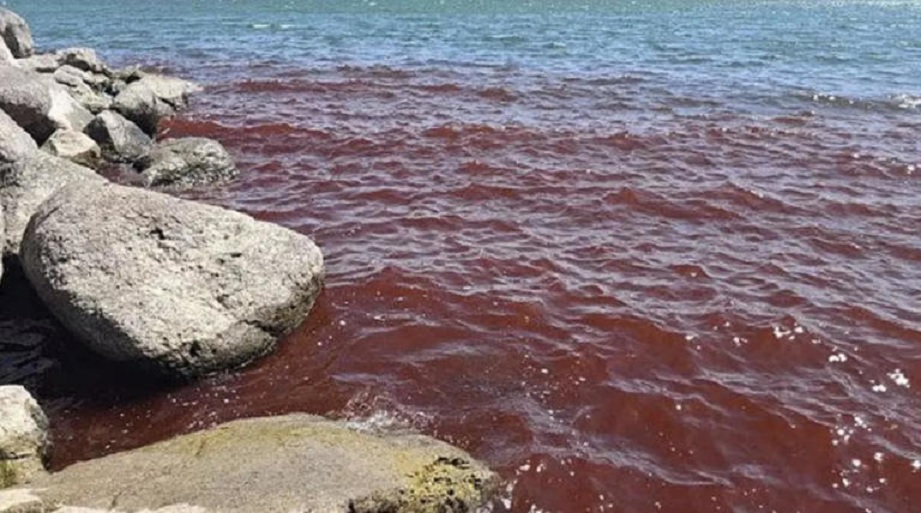 Apocalipse? Mar da Galileia, em Israel, fica vermelho como sangue
