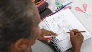 Inserção no mercado de trabalho tende a melhorar habilidade de leitura Inserção no mercado de trabalho tende a melhorar habilidade de leitura