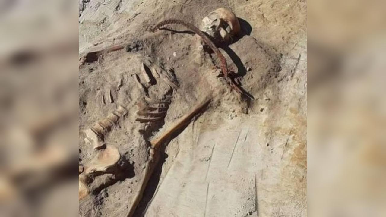 Mistério: Arqueólogos encontram restos mortais de vampira Mistério: Arqueólogos encontram restos mortais de vampira
