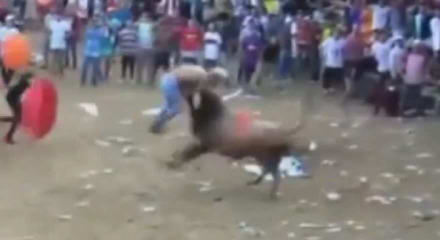 Vídeo: Homem morre após levar chifrada de touro durante festival