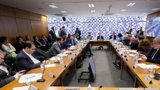 Câmara apresenta texto sobre adultização infantil nas redes em 30 dias Câmara apresenta texto sobre adultização infantil nas redes em 30 dias