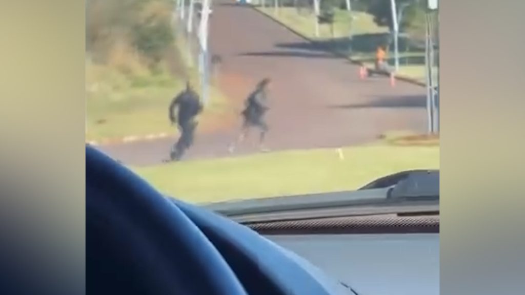Vídeo mostra agentes da GM correndo atrás de jovem “fujão” em Cascavel