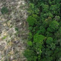 Imagem referente a Brasil perdeu 111,7 milhões de hectares de áreas naturais em 40 anos