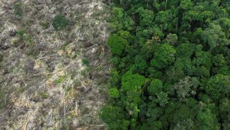 Brasil perdeu 111,7 milhões de hectares de áreas naturais em 40 anos Brasil perdeu 111,7 milhões de hectares de áreas naturais em 40 anos