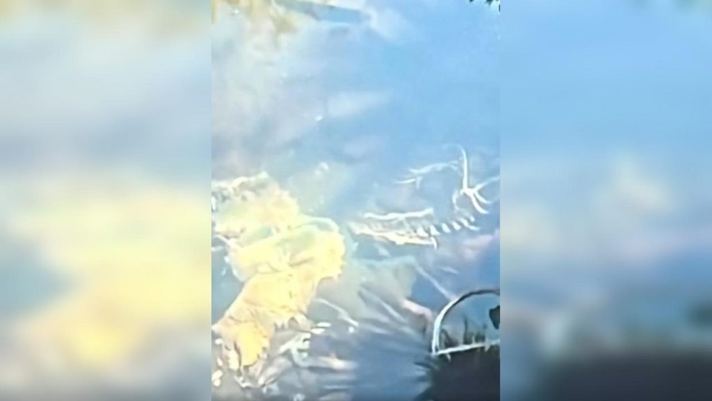 Ossada é encontrada em lago de Londrina