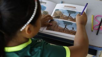 SP terá mutirão histórico no sábado por reconhecimento de paternidade