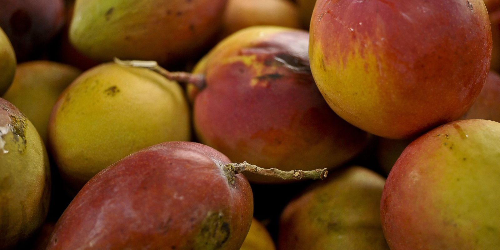 Abrafrutas apoia plano e pede atenção a pequenos produtores Imagem referente a Abrafrutas apoia plano e pede atenção a pequenos produtores