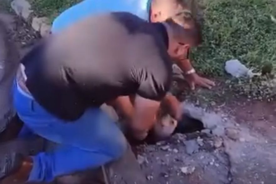 Vídeo! Martelada da salvação: Pit-bulls caem em bueiro e são resgatados