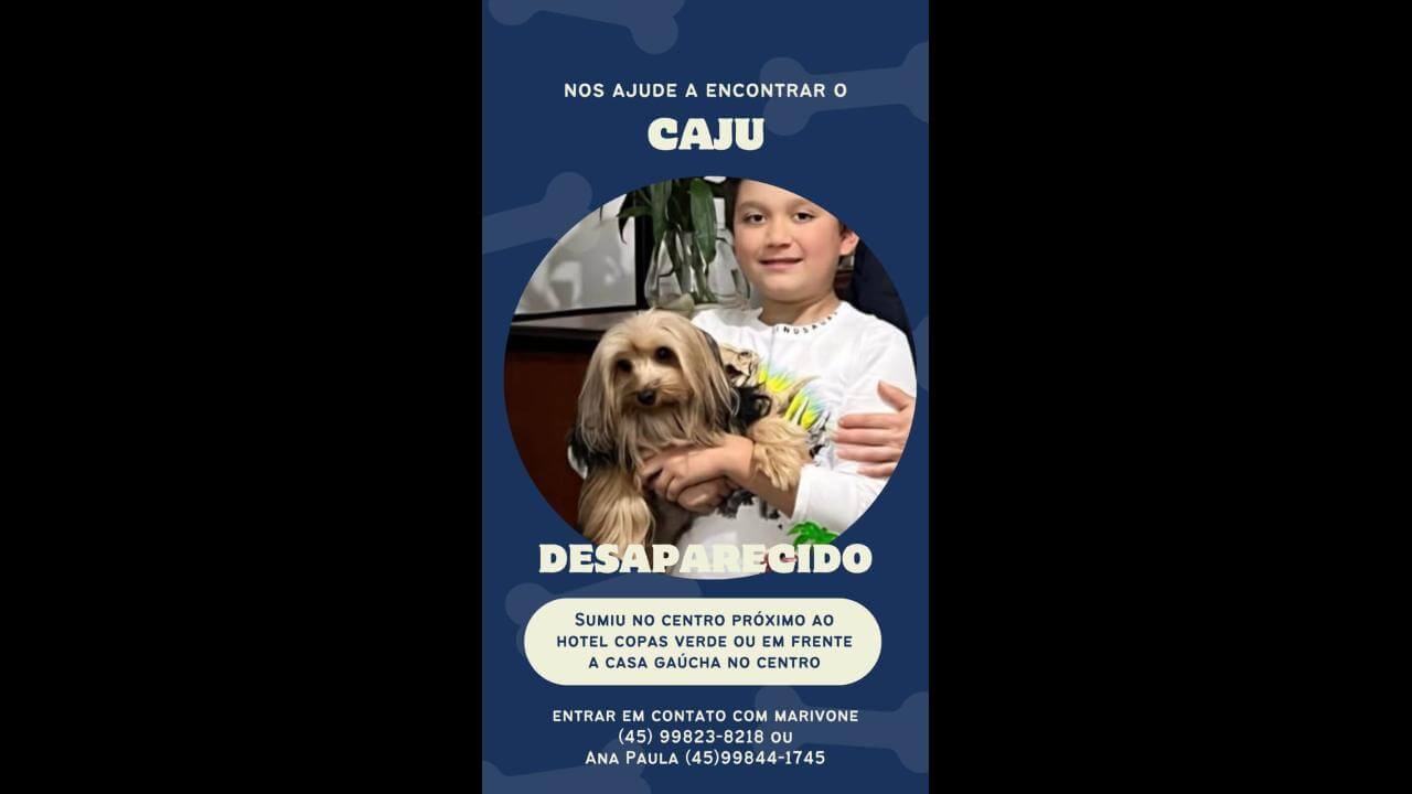 Cachorro Caju desapareceu no bairro Centro Cachorro Caju desapareceu no bairro Centro
