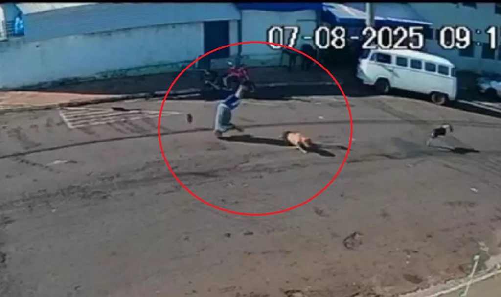 Idoso fica gravemente ferido após ser ‘atropelado’ por cachorro