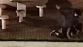Vídeo flagra mulher sendo agredida no Centro de Cascavel