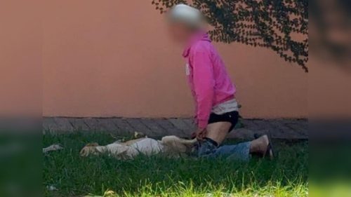 Idoso de 81 anos é preso em flagrante por suspeita de zoofilia contra cachorra Imagem referente a Idoso de 81 anos é preso em flagrante por suspeita de zoofilia contra cachorra