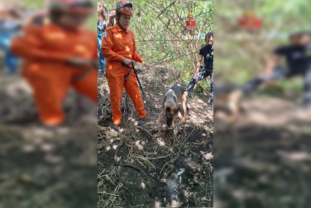 Mulher é achada enterrada em mata após dois dias de buscas