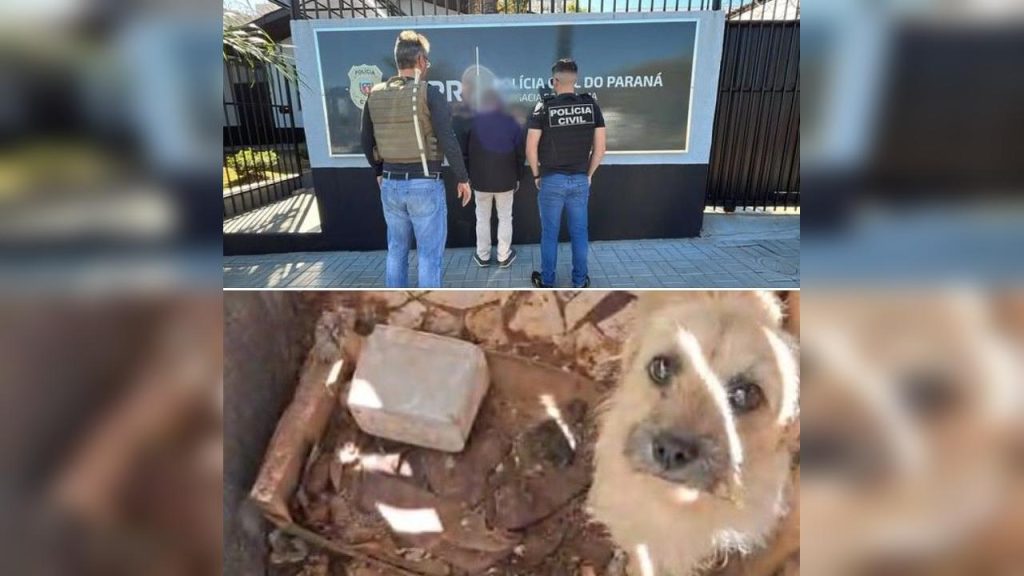 Polícia Civil prende homem em flagrante por maus tratos em Realeza