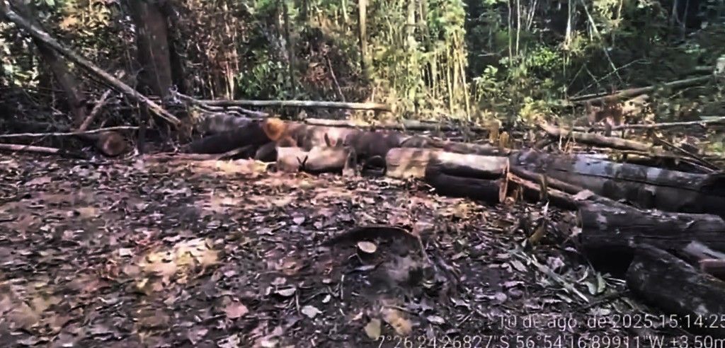 Filho do ex-prefeito de Céu Azul, José Eneron Telles Júnior, é uma das vítimas de queda de avião no Pará