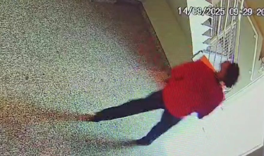Veja momento em que venezuelanos furtam café gourmet em empresa de Cascavel