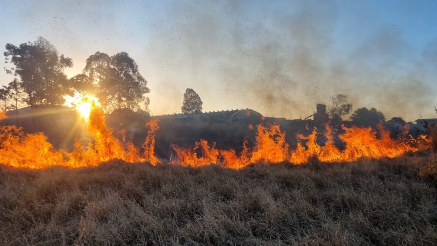Incêndio em vegetação é registrado na Rua do Cowboy